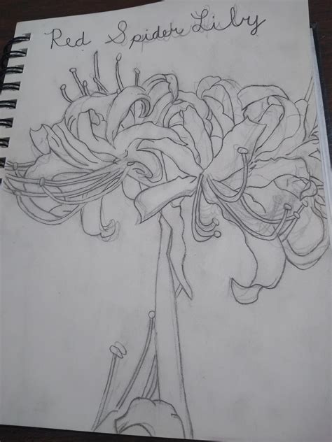 I M Really Proud Of This Spider Lily That I Drew From A Picture I Found On The Internet I M