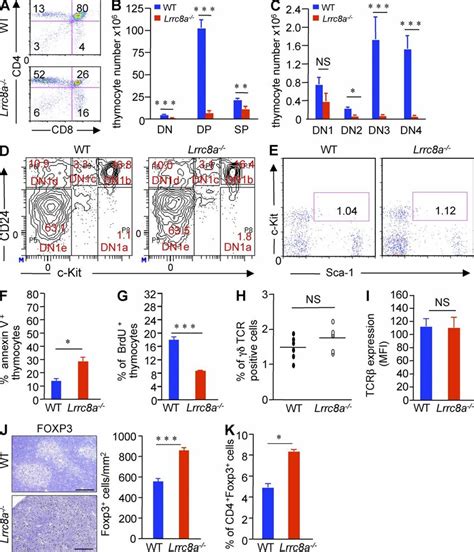 Defective Thymocyte Development In Lrrc A Mice A Facs Analysis Of