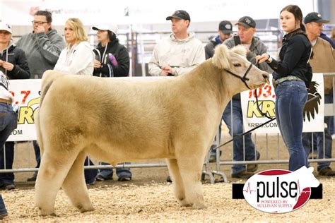 Sioux Empire Livestock Show Top 10 Prospect Market Beef The Pulse