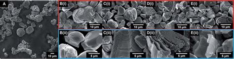 Sem Micrographs Of As Received And Treated Lco Powders Selected