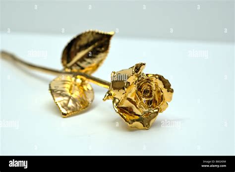 Closeup of a gold plated rose Stock Photo - Alamy