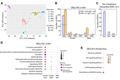 Adolescent Thc Exposure Induced Long Term Sex Specific Transcriptional