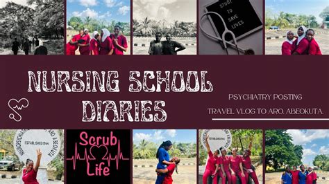 Nursing School Diaries Weeks At An Asylum Mental Health Posting