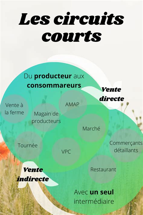 Circuits Courts Cuisinez Lib R Pourquoi S Y Mettre