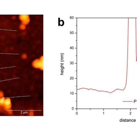 Figure S Fluorescence Recovery After Photobleaching Frap Of