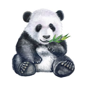 6,711 BEST Panda Bear Clip Art IMAGES, STOCK PHOTOS & VECTORS | Adobe Stock