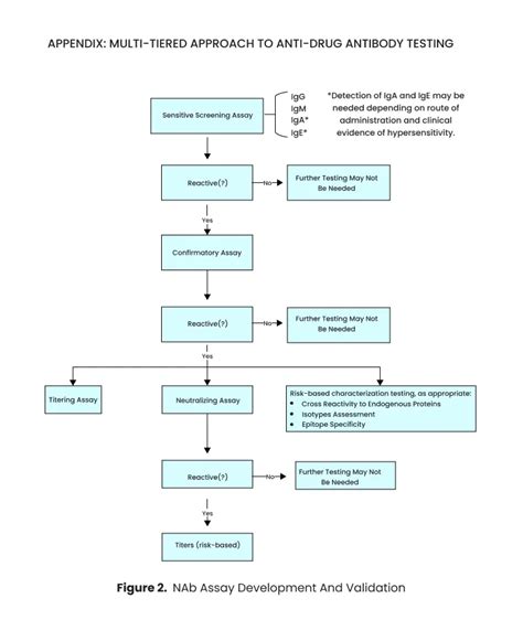 ADA Assay Development, ADA Sample Analysis, PK ADA Analysis