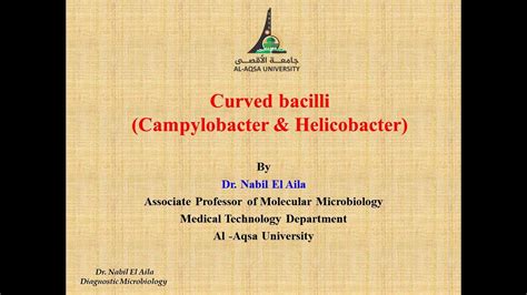 Chapter Part Ii Curved Bacilli Campylobacter And Helicobacter Youtube