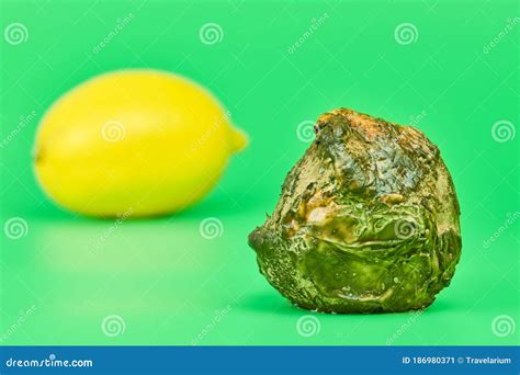 Rotten Lemon And Fresh Lemon Compare Green Background Stock Image