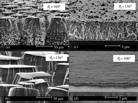 Selected polymer films: (a) and (b) are nascent polymer films produced ...