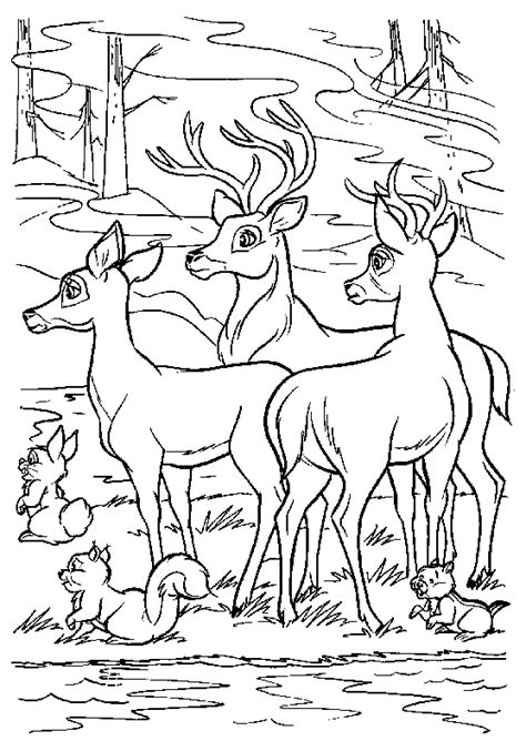 Fawn Fawn Coloring Page Free Printable Coloring Pages On Coloori