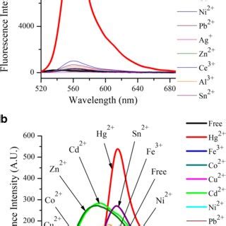 Effect of pH on the absorption spectrum of probe 3 C 10⁵ mol L¹