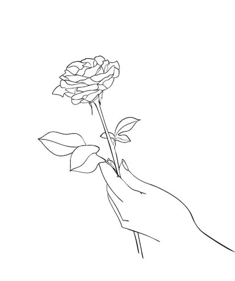 Mão segurando uma flor rosa desenho de linha ilustração vetorial