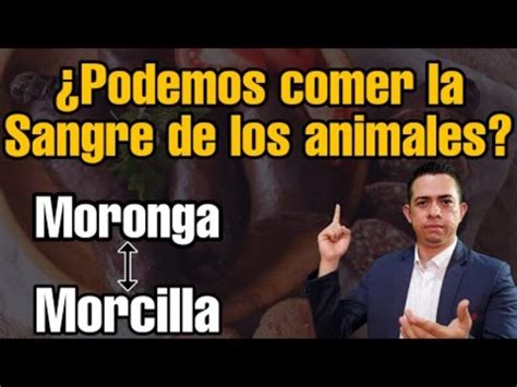 Por qué no se puede comer sangre de animales