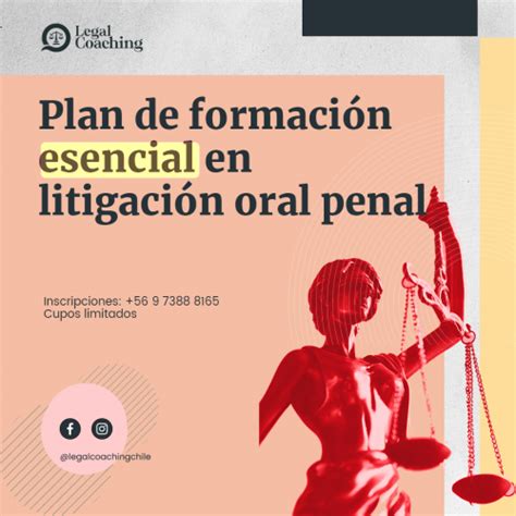 Plan De Formaci N Especial En Litigaci N Oral Penal Consultor As