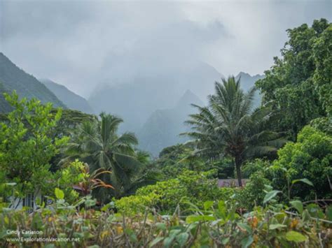 Road Trip Along Tahiti S East Coast Exploration Vacation