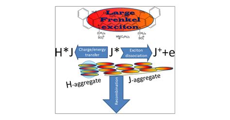 Exciton Dynamics In J And H Aggregates Of A Tricarbocyanine Near