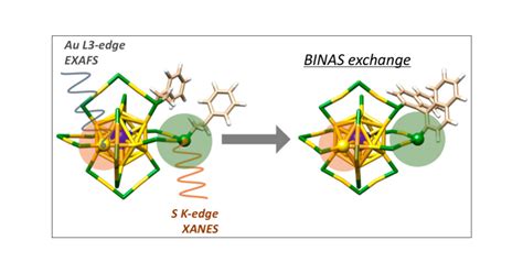 Structural Investigation Of The Ligand Exchange Reaction With Rigid