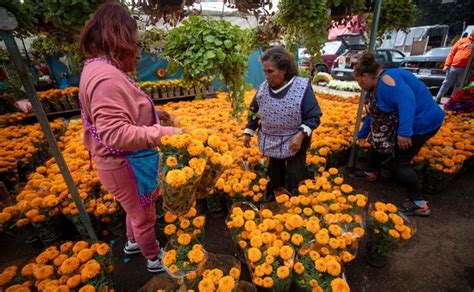 Dónde encuentro flores de cempasúchil más baratas en CDMX en 2023