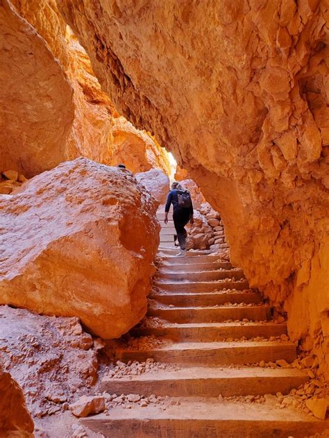 The Best Of Zion And Bryce National Parks In Days In Bryce