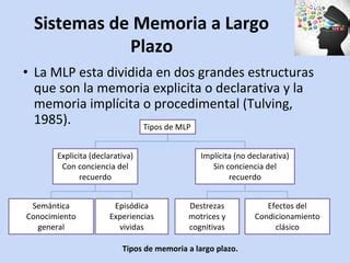 Conceptualización actual de la memoria PPT