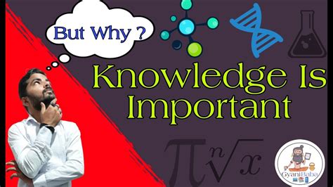 Why Knowledge Is Important ।। Is Knowledge Really Important Youtube