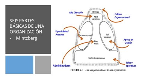 Estructura Mintzberg Siete Tipos De Configuracion En La Organizacion