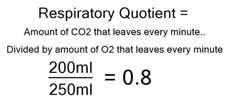 Respiratory quotient - Critical Care Practitioner