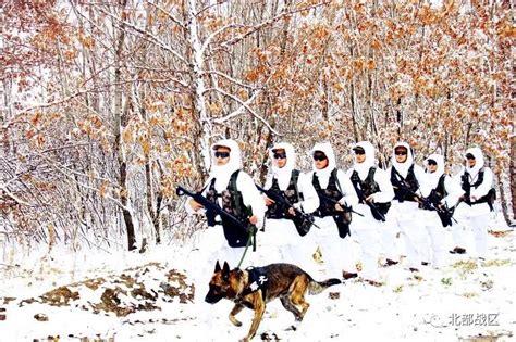 十月飘雪，黑河边防官兵顶风冒雪踏上巡逻路 黑河 战区 祖国 新浪军事 新浪网