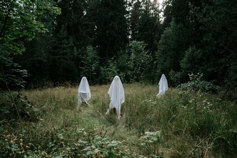 ghosts outdoors  stock photo