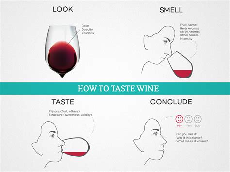 How to Taste Wine and Develop Your Palate | Wine Folly