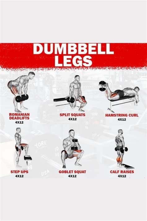 Complete Leg Workout Guide Dumbbell Workout Dumbbell Leg Workout Leg Workouts Gym