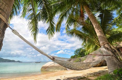 Hammock Hanging Between Palm Trees At The Sandy Beach And Sea Coast