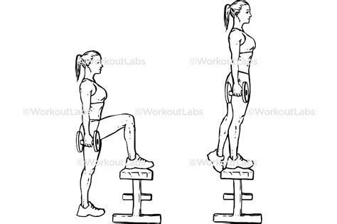 Dumbbell Step-Ups – WorkoutLabs Exercise Guide