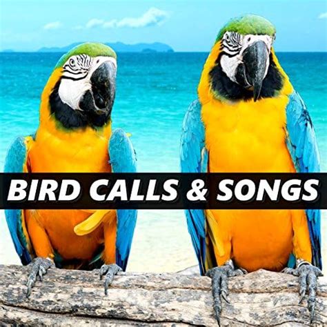 Amazon.com: Bird Calls & Songs : Bird Calls & Songs: Digital Music