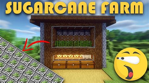 AUTOMATIC SUGARCANE FARM || How to build an automatic sugarcane farm easy (easy redstone builds ...