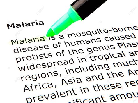 Malaria Parasite Background Images, HD Pictures and Wallpaper For Free Download | Pngtree