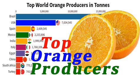 Top Largest Orange Producing Countries In The World Youtube