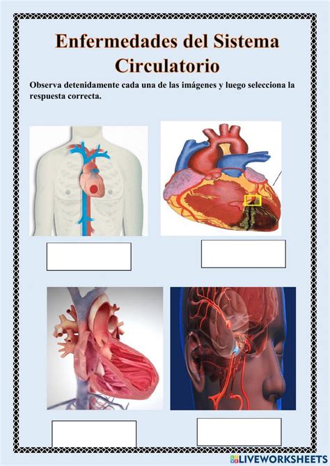 1096191 Enfermedades Del Sistema Circulatorio