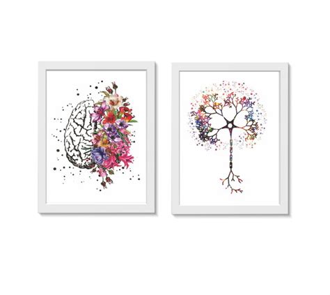 Kit Quadros Decorativos C Rebro Neur Nio Flores Neurologia