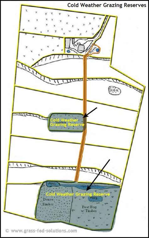 Example Pasture Rotation and Farm Plan for a Grass Fed Beef Business ...