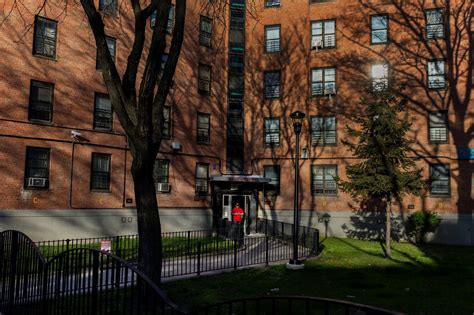 New York City Housing Authority Accused Of Endangering Residents Agrees To Oversight The New