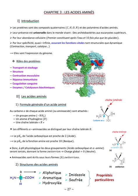 C3 les acides aminés cours S1 CHAPITRE 3 LES ACIDES AMINÉS I