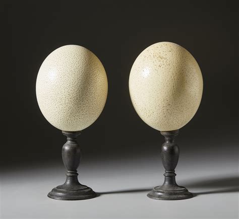 Two ostrich eggs