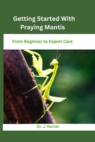 Getting Started With Praying Mantis From Beginner To Expert Care By Dr