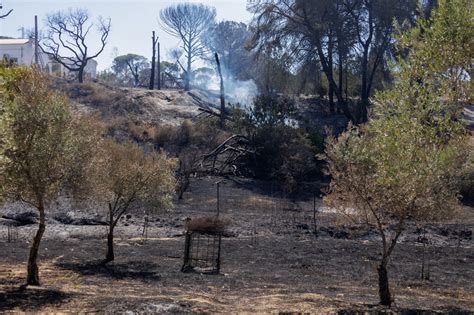 Viviendas Da Adas Por El Incendio De Bonares En Im Genes