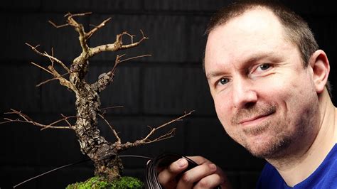 Pruning Styling My Cork Bark Chinese Elm Bonsai YouTube