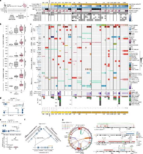 Richter’s Transformation - Detection of early ... - CLL Support