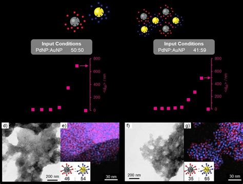 A Co Assembly Of Nucleophilic PdNP 1 And Electrophilic AuNP 2 From