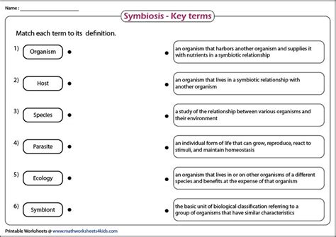 Types Of Symbiosis Worksheets